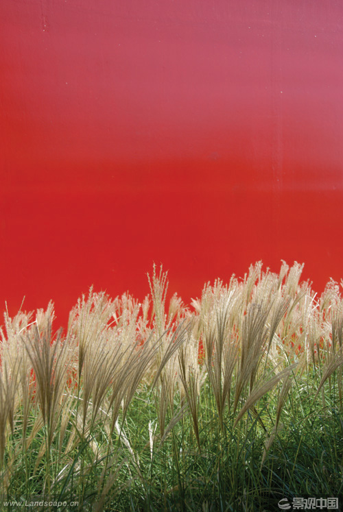 公园生长茂盛的茅草,以红色钢板大门为背景.jpg公园入口处景观俯瞰.