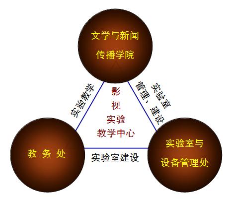 实验中心三角管理关系